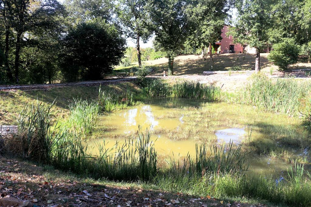 Domaine Les Causeries Laguepie Bagian luar foto