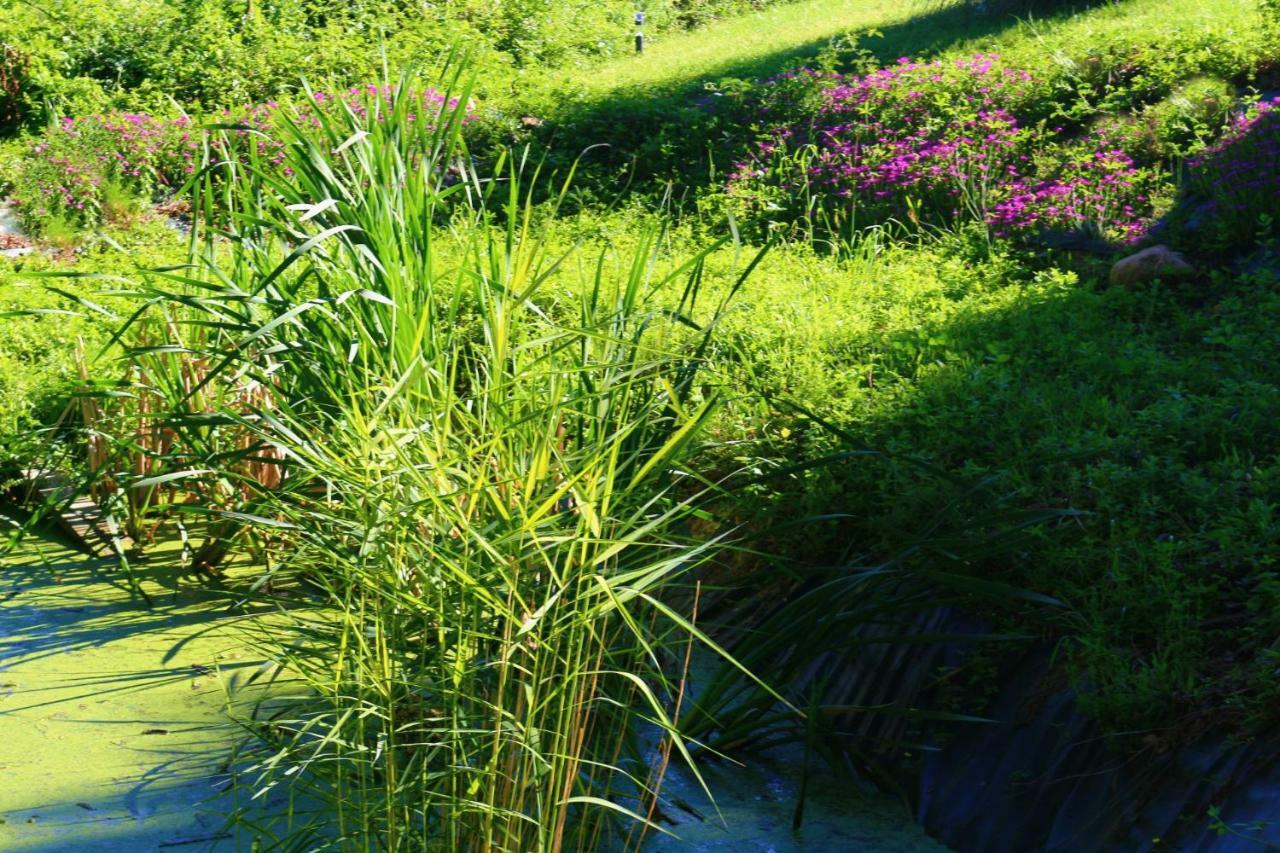 Domaine Les Causeries Laguepie Bagian luar foto